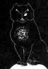 Suike's 3rd Annual Photo Contest: "Best Edited" - last post by Neko